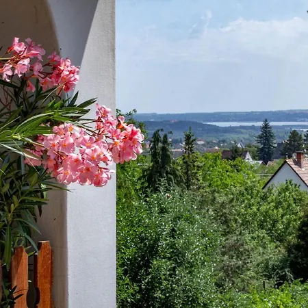 Prázdninový dům In - Velence-see 43968