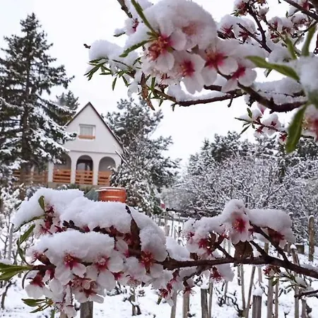 In - Velence-see 43968 * Pákozd