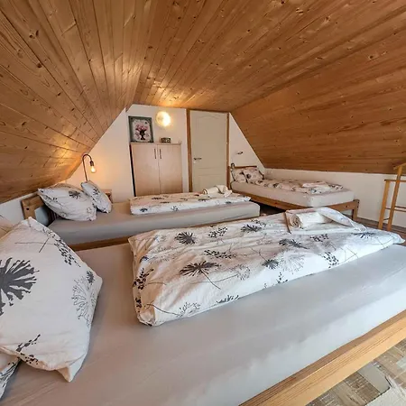 In - Velence-see 43968 *