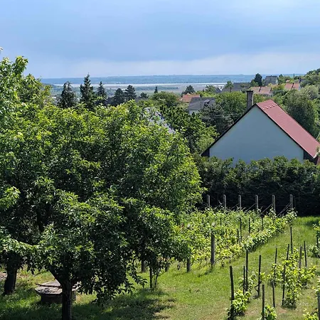 In - Velence-see 43968 *