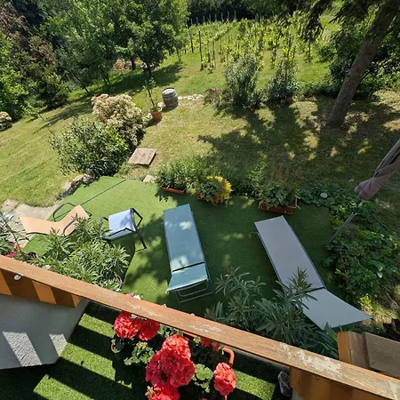 In - Velence-see 43968 * Pákozd