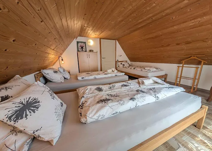 In - Velence-see 43968 *