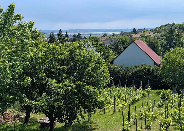 In - Velence-see 43968 *