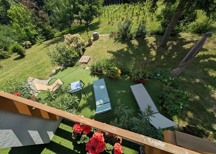 In - Velence-see 43968 * Pakozd